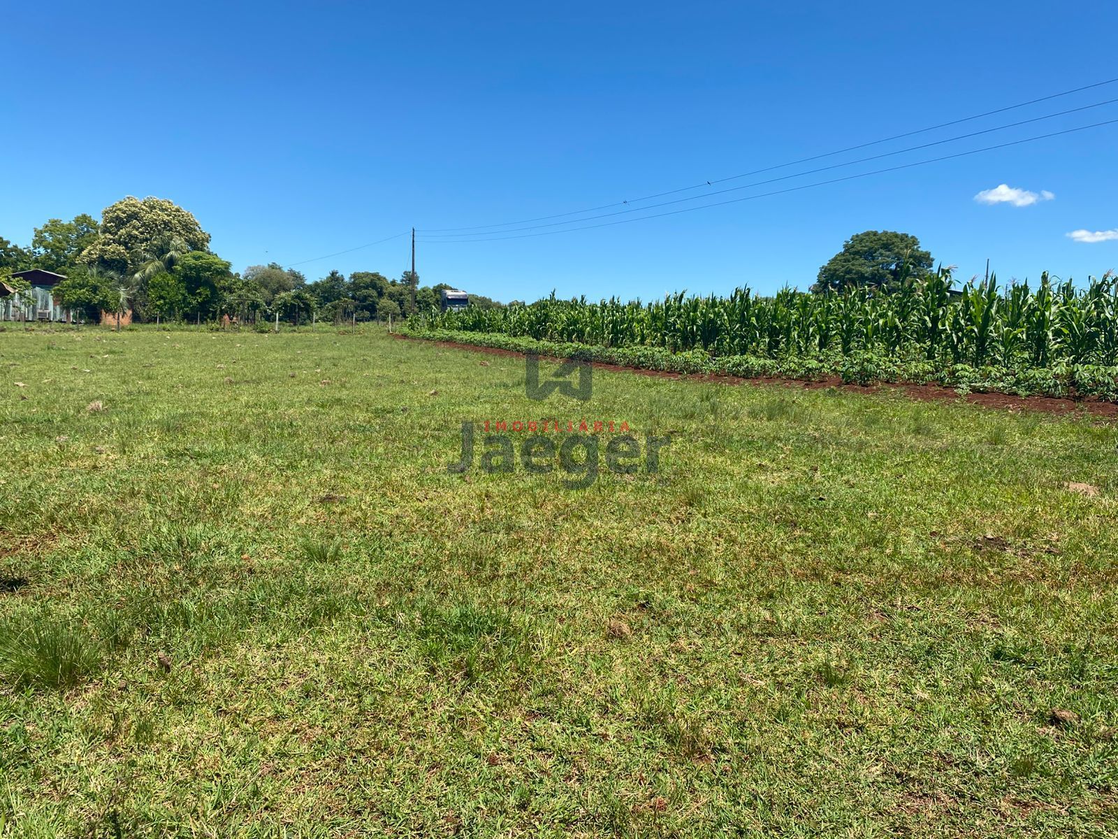 Chácara, 4 hectares - Foto 3