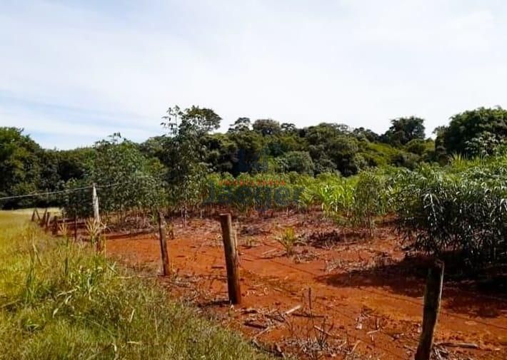 Fazenda à venda com 2 quartos, 10000m² - Foto 5