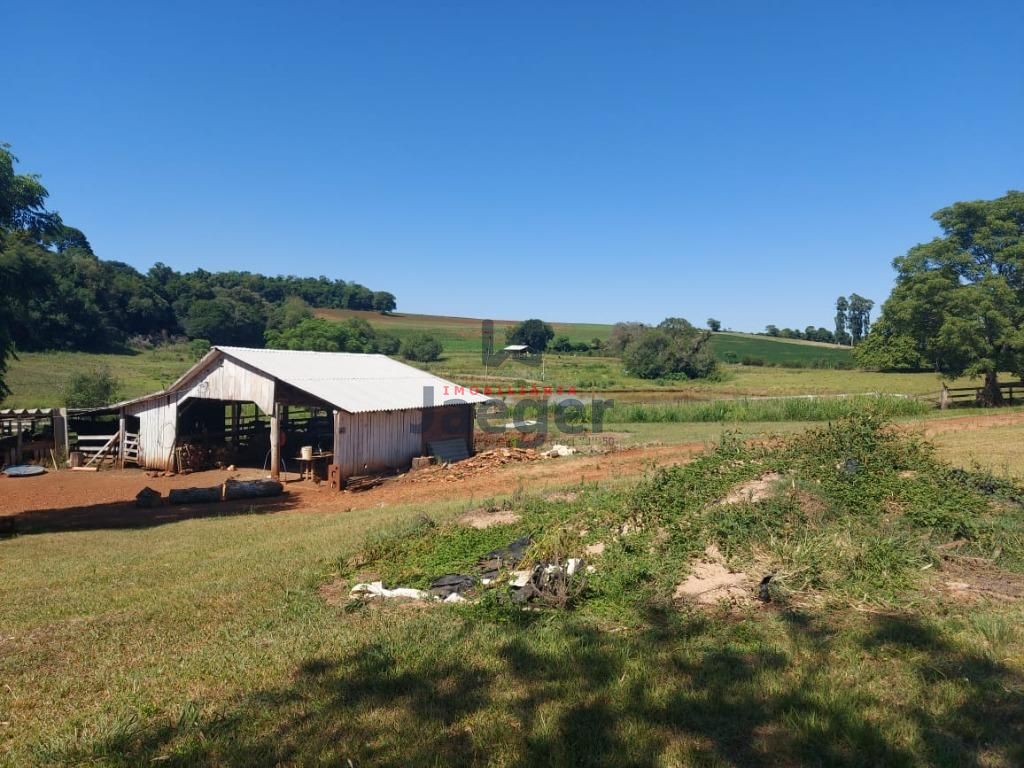 Fazenda à venda com 3 quartos, 79000m² - Foto 8