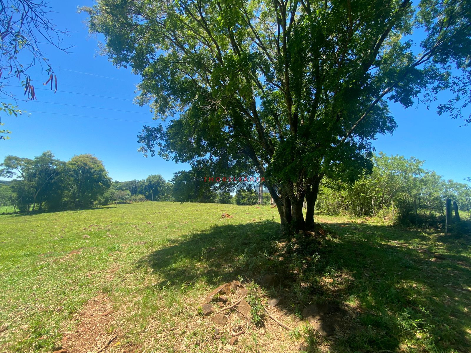 Chácara, 4 hectares - Foto 4