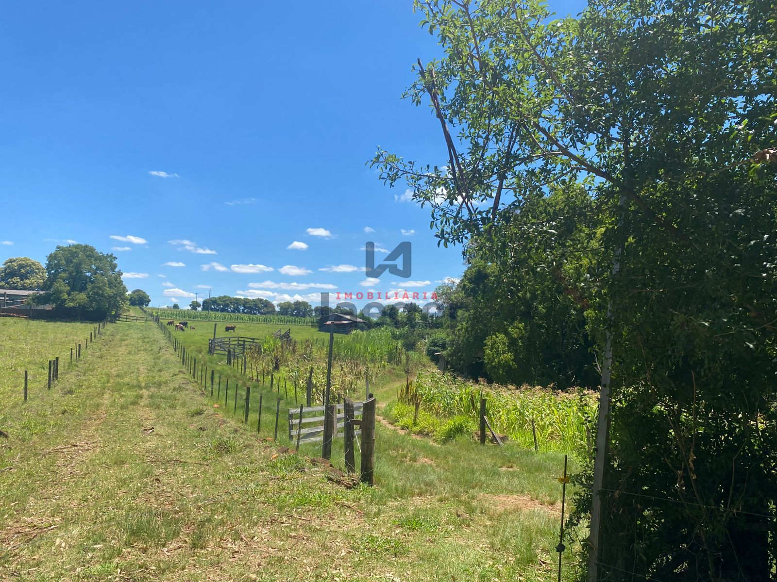 Chácara, 4 hectares - Foto 18