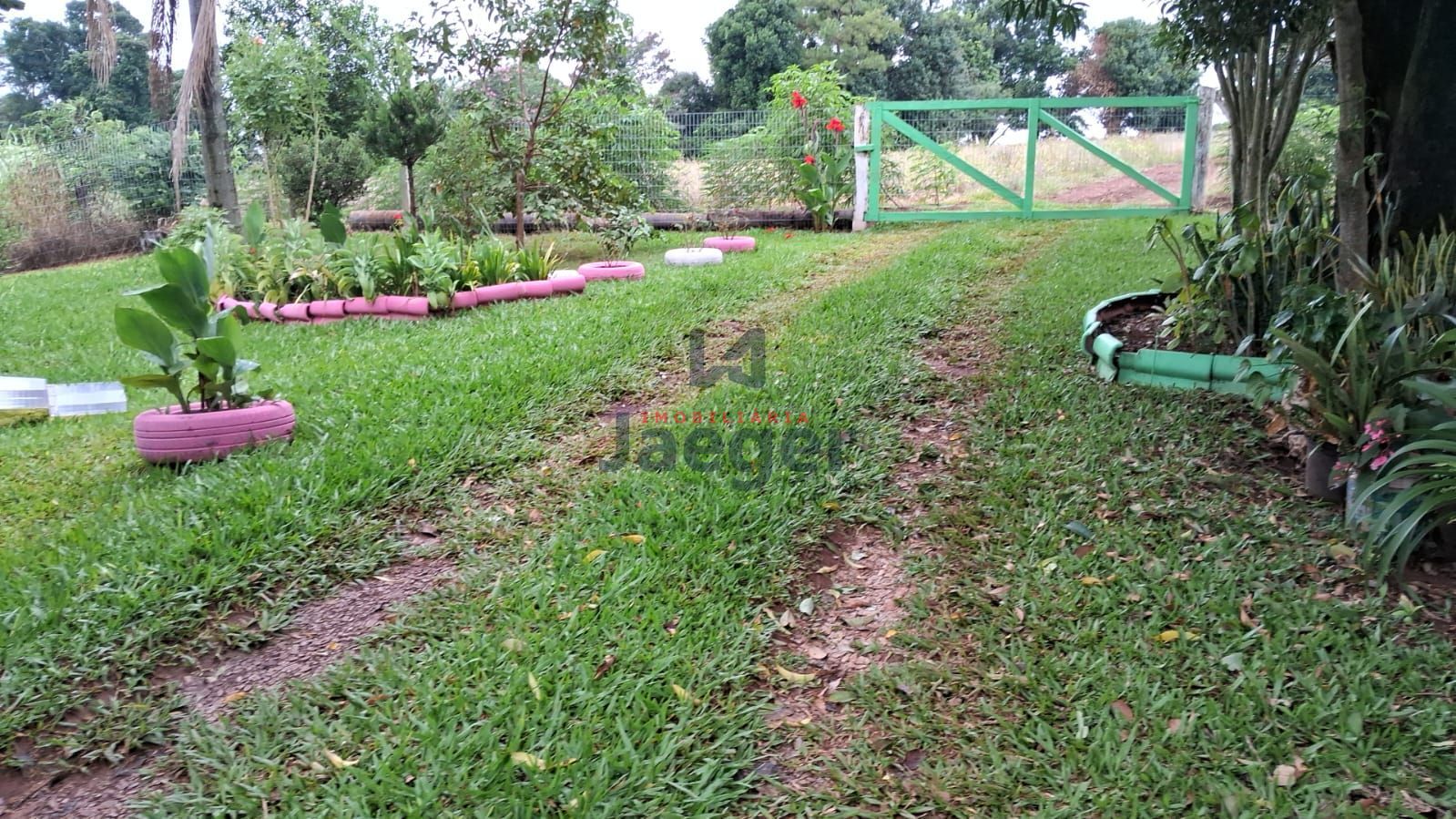 Chácara, 4 hectares - Foto 4