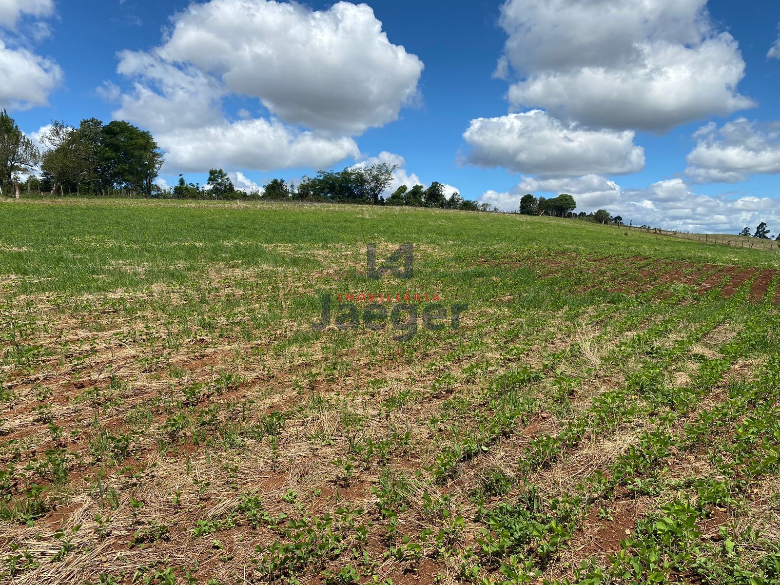 Loteamento e Condomínio à venda, 210000m² - Foto 7