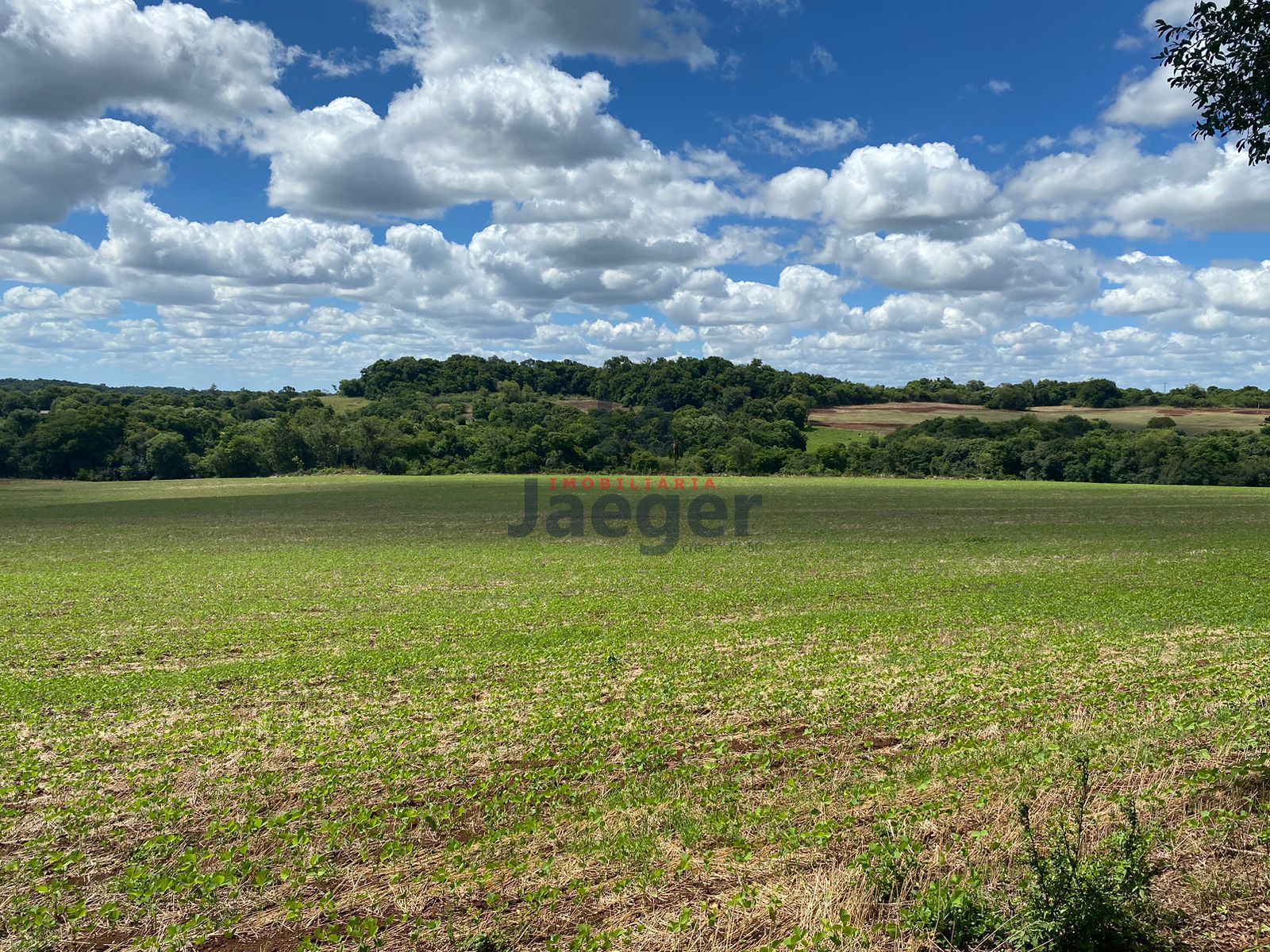 Loteamento e Condomínio à venda, 210000m² - Foto 26