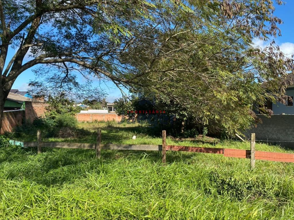 Terreno, 732 m² - Foto 4