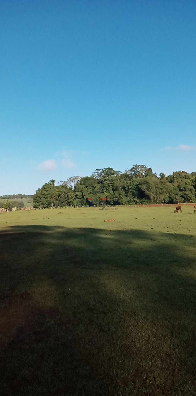 Fazenda à venda com 1 quarto, 200000000m² - Foto 5