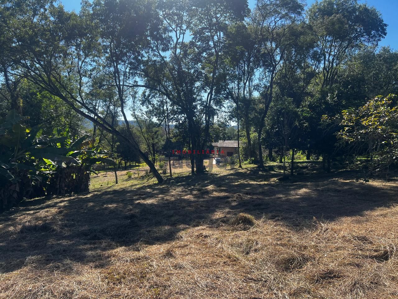 Sítio, 1250 m² - Foto 22