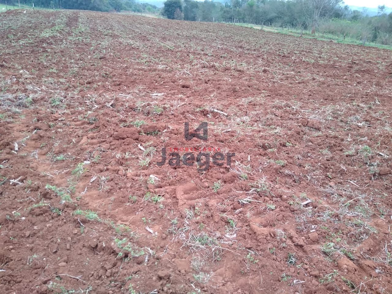 Fazenda à venda com 2 quartos, 150000m² - Foto 18