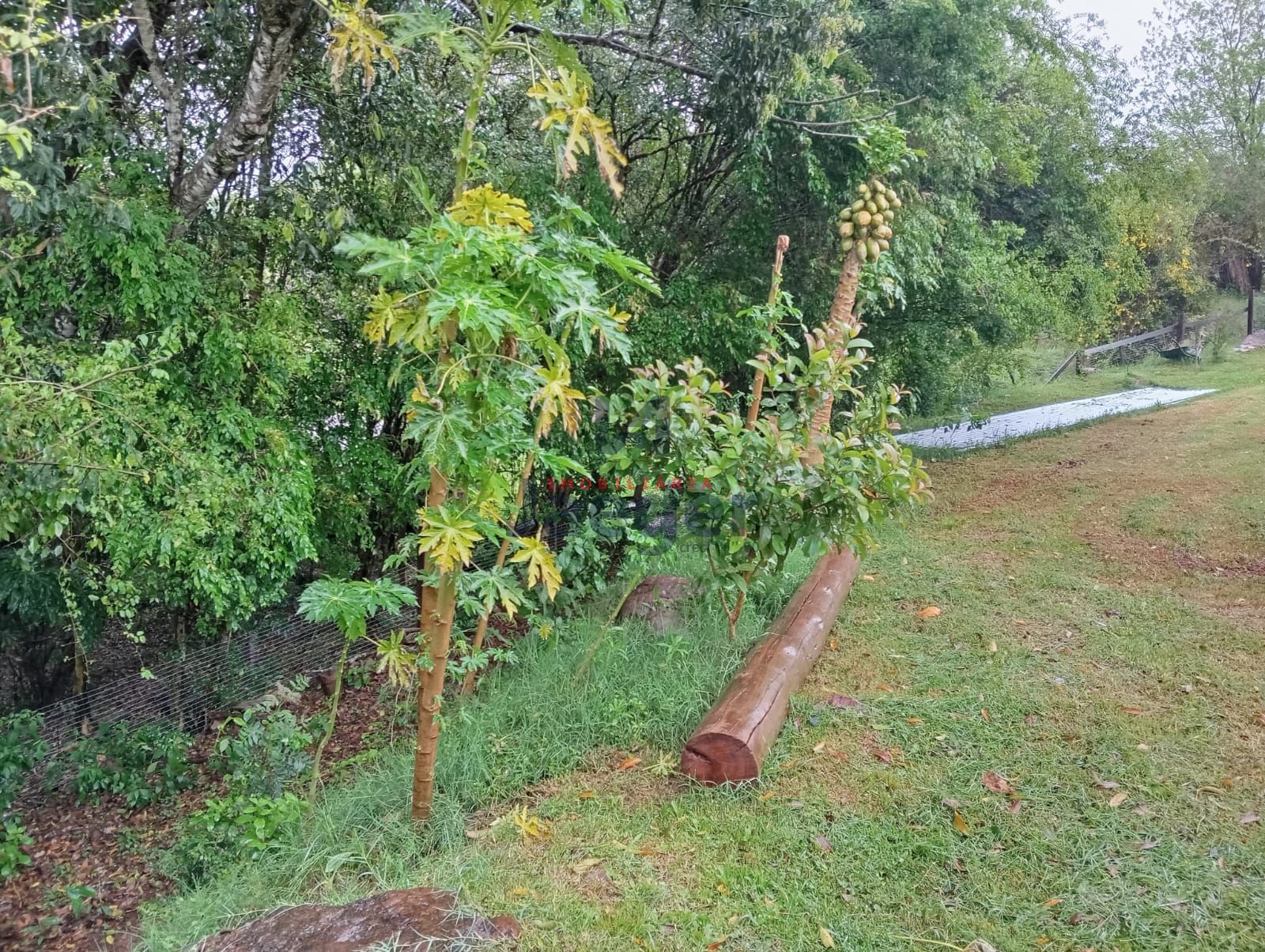 Fazenda à venda com 1 quarto, 100m² - Foto 5