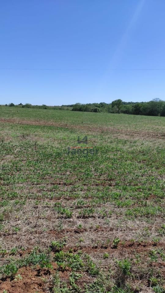 Fazenda à venda, 640000m² - Foto 3