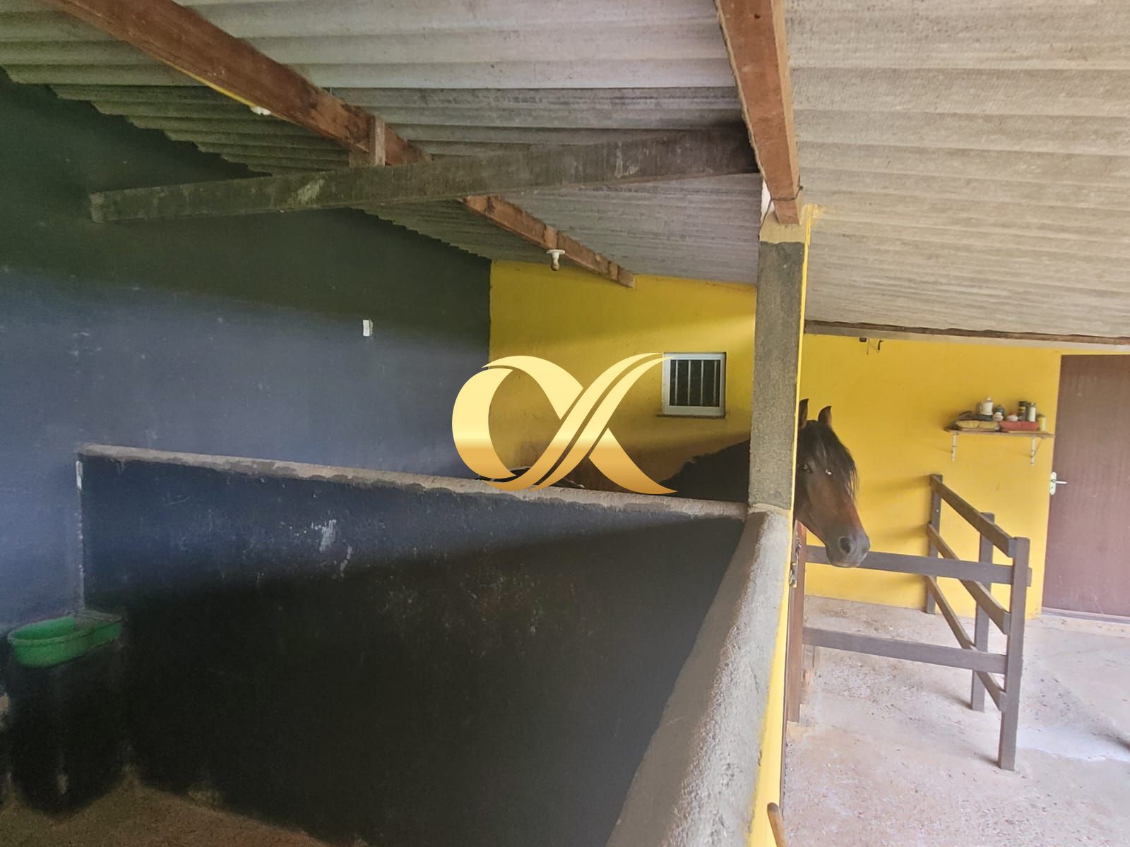 Fazenda à venda com 3 quartos, 180m² - Foto 21