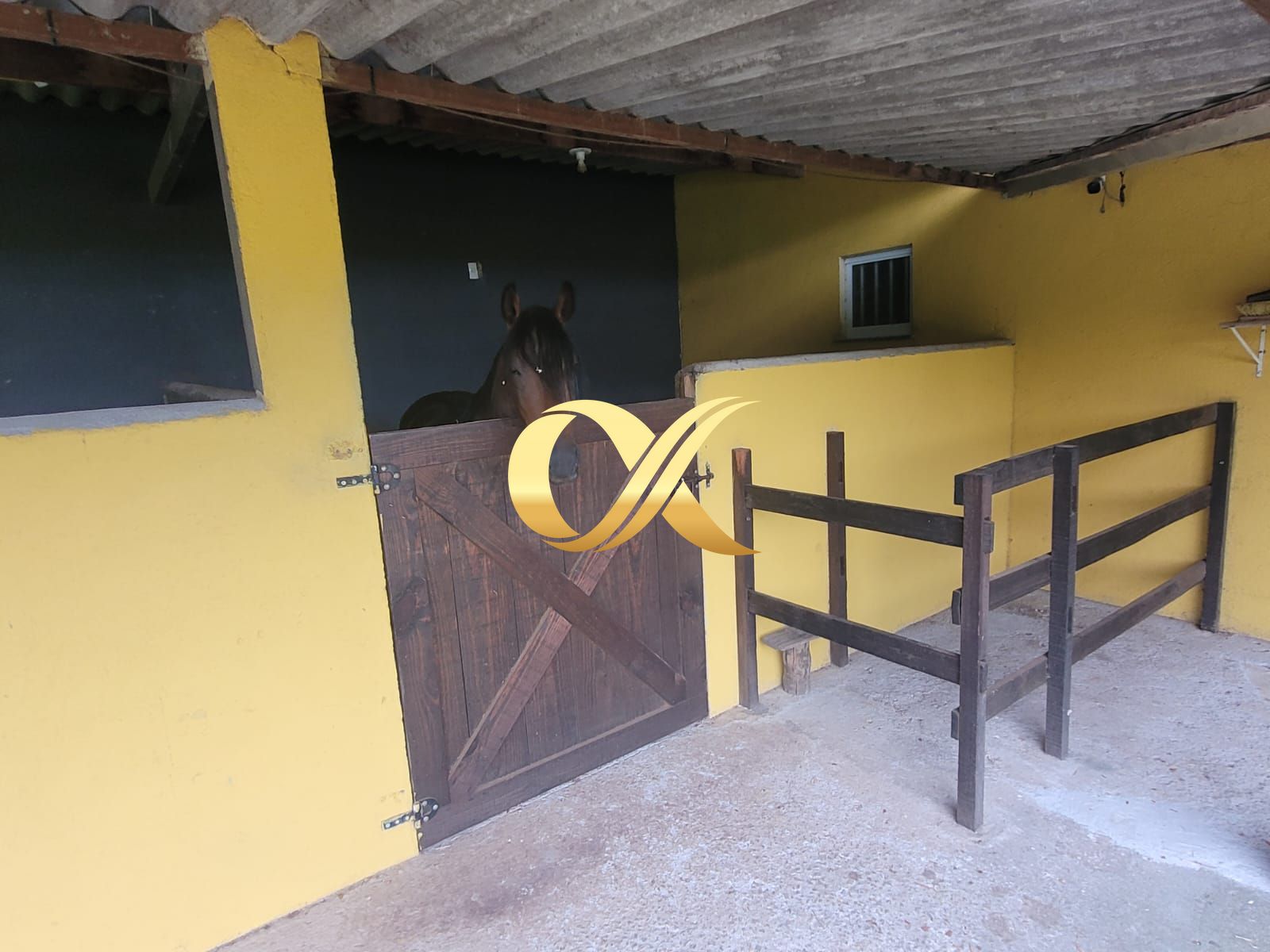 Fazenda à venda com 3 quartos, 180m² - Foto 22