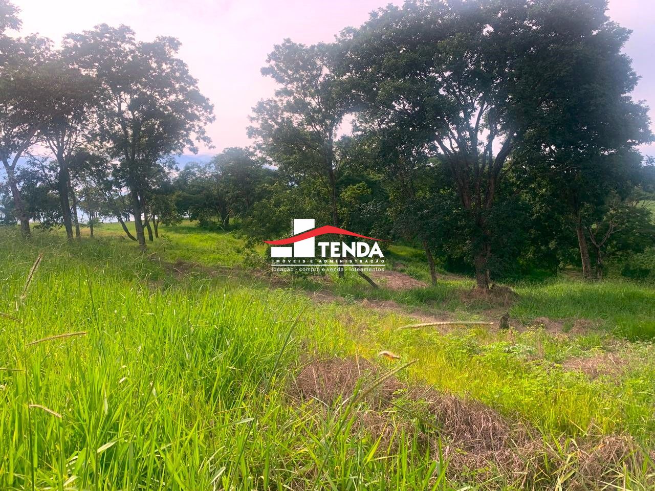 Casa de 3 quartos, no bairro Zona Rural, em São José da Bela Vista | Eu Corretor