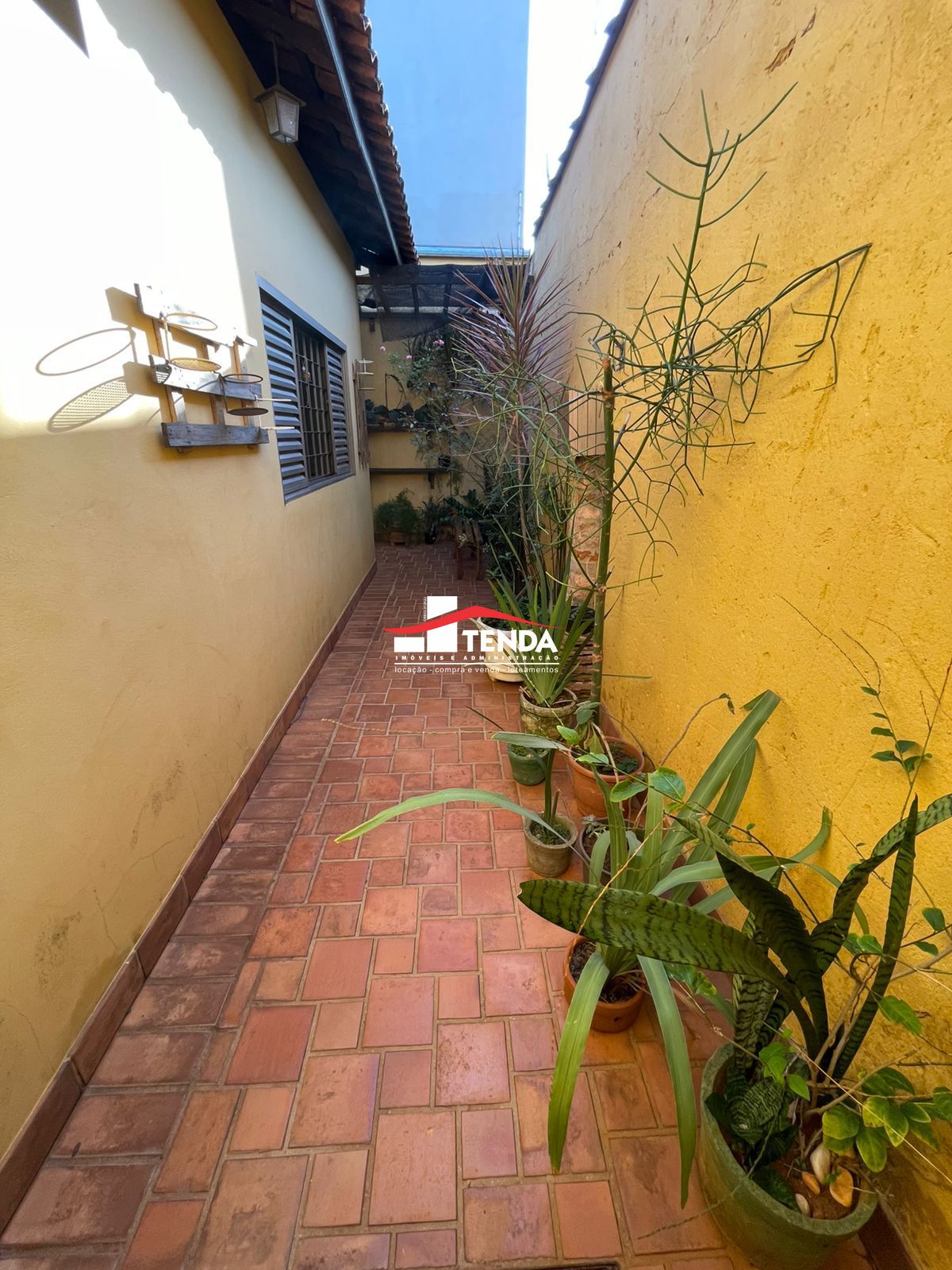 img231719990