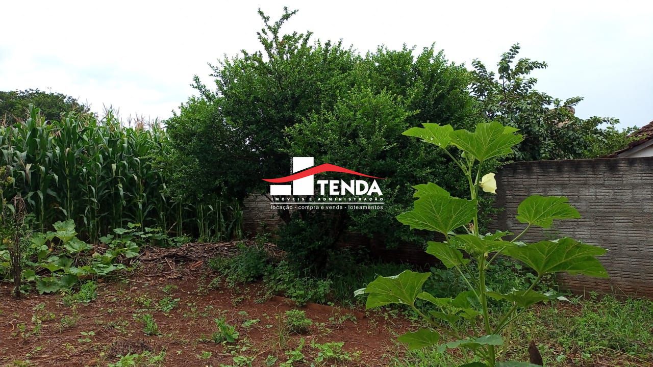 Lote/Terreno de 771m² no bairro Zona Rural, em Pedregulho | Eu Corretor