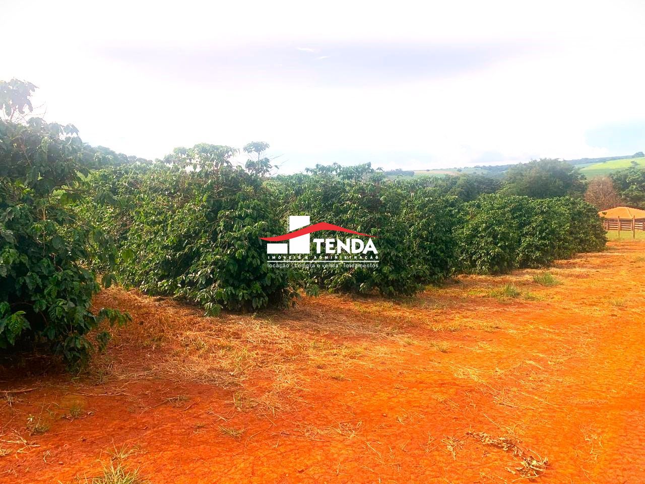 Casa de 3 quartos, no bairro Zona Rural, em São José da Bela Vista | Eu Corretor