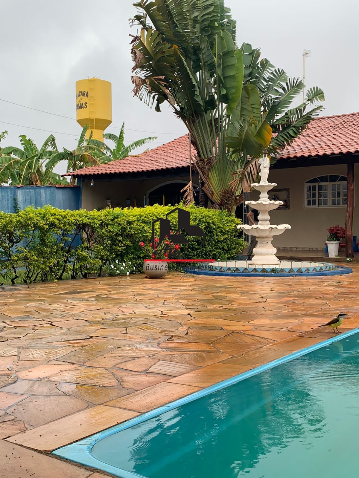 Fazenda / Sítio / Chácara com 5 quartos à venda, 200m² — foto 4 de 42