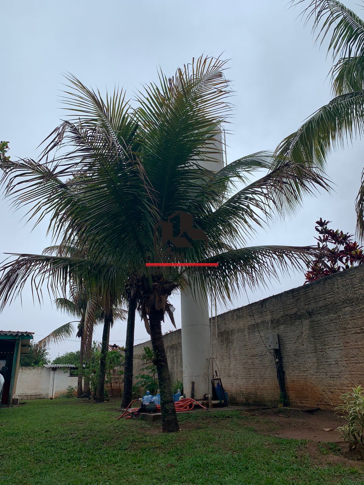 Fazenda / Sítio / Chácara com 5 quartos à venda, 200m² — foto 20 de 42