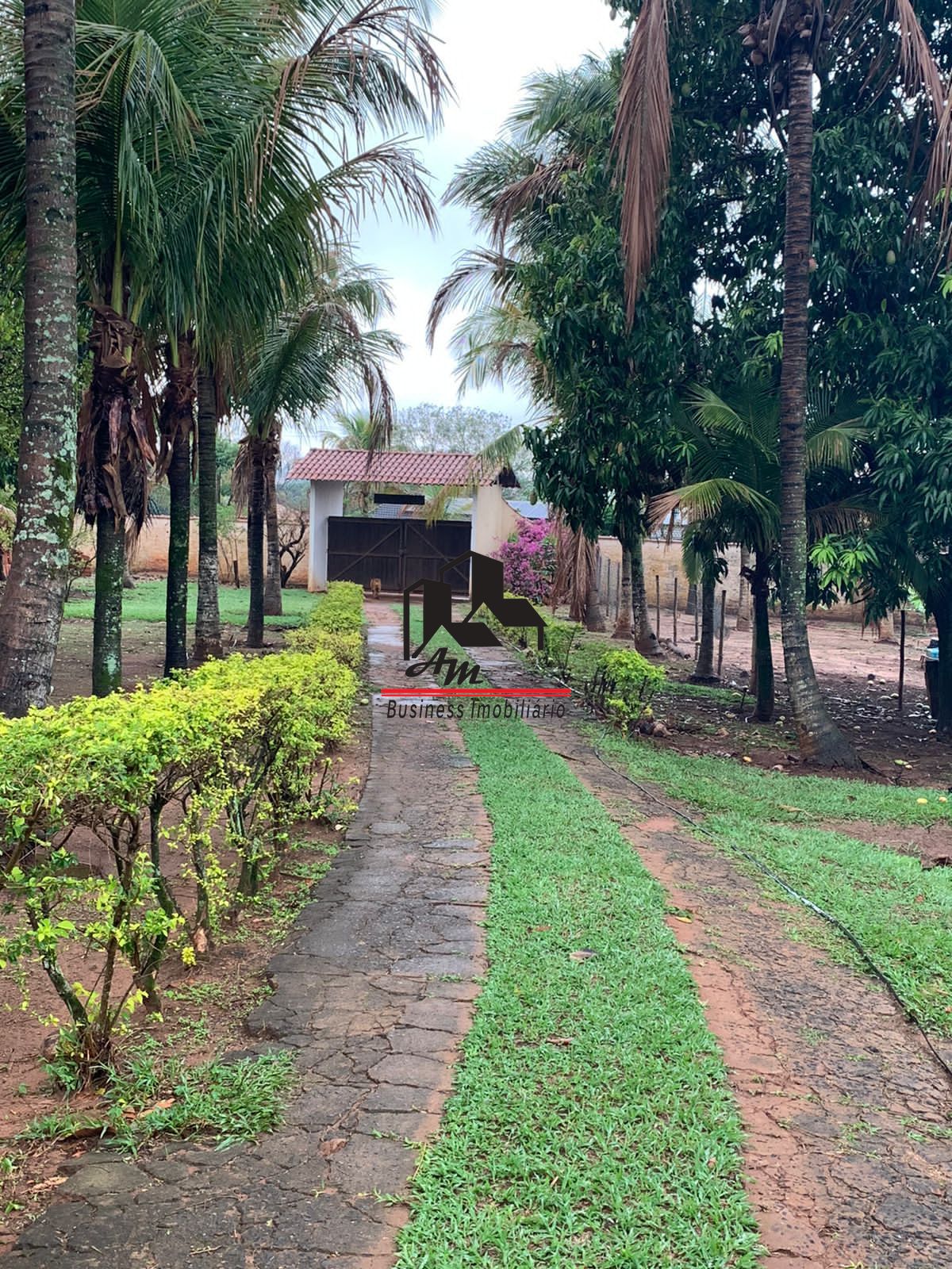 Fazenda / Sítio / Chácara com 5 quartos à venda, 200m² — foto 6 de 42