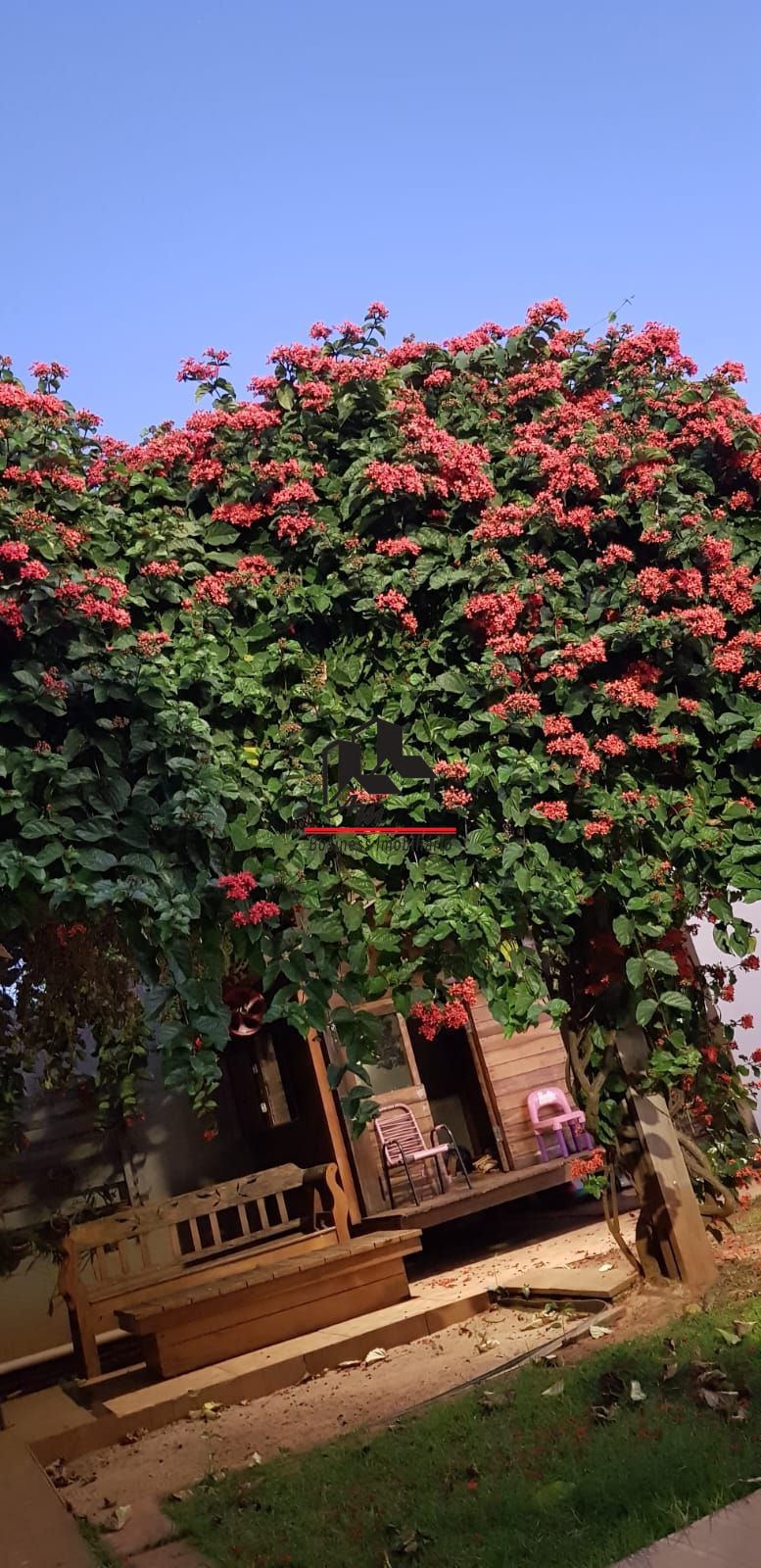 Casa com 2 quartos à venda, 195m² — foto 8 de 45