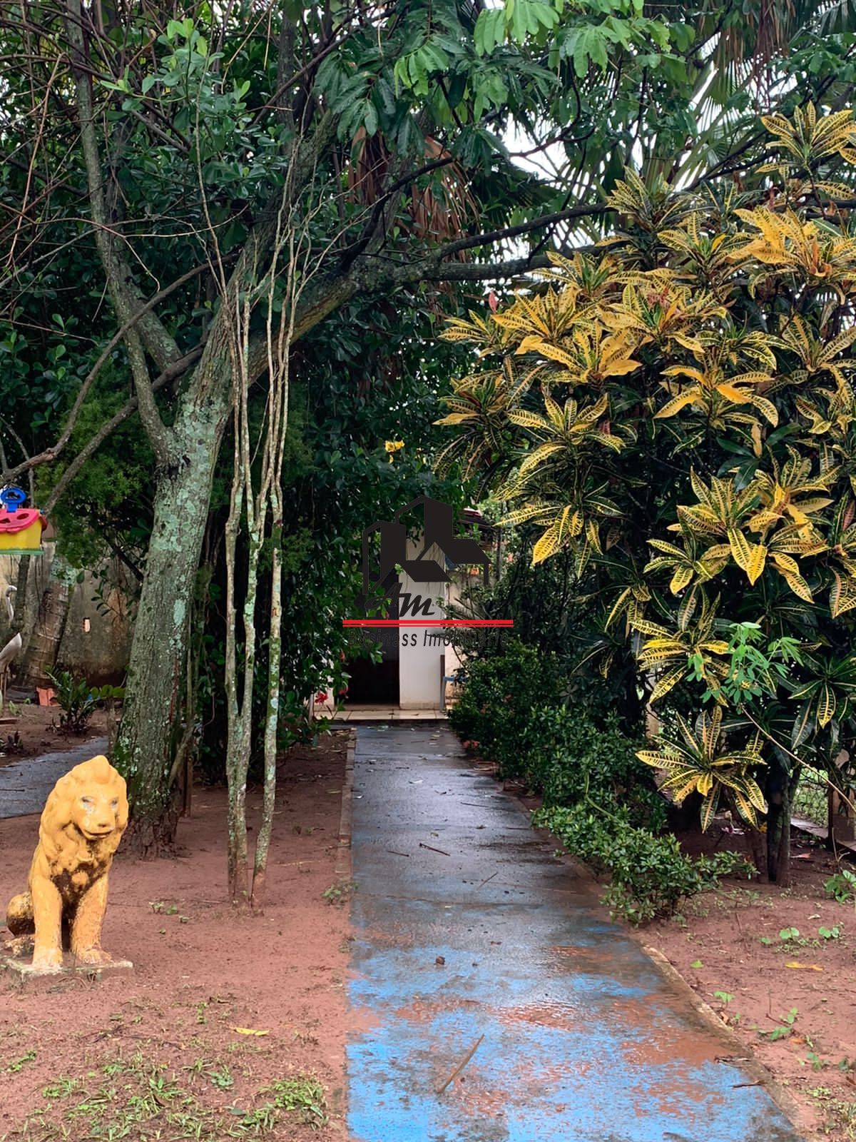 Fazenda / Sítio / Chácara com 5 quartos à venda, 200m² — foto 11 de 42