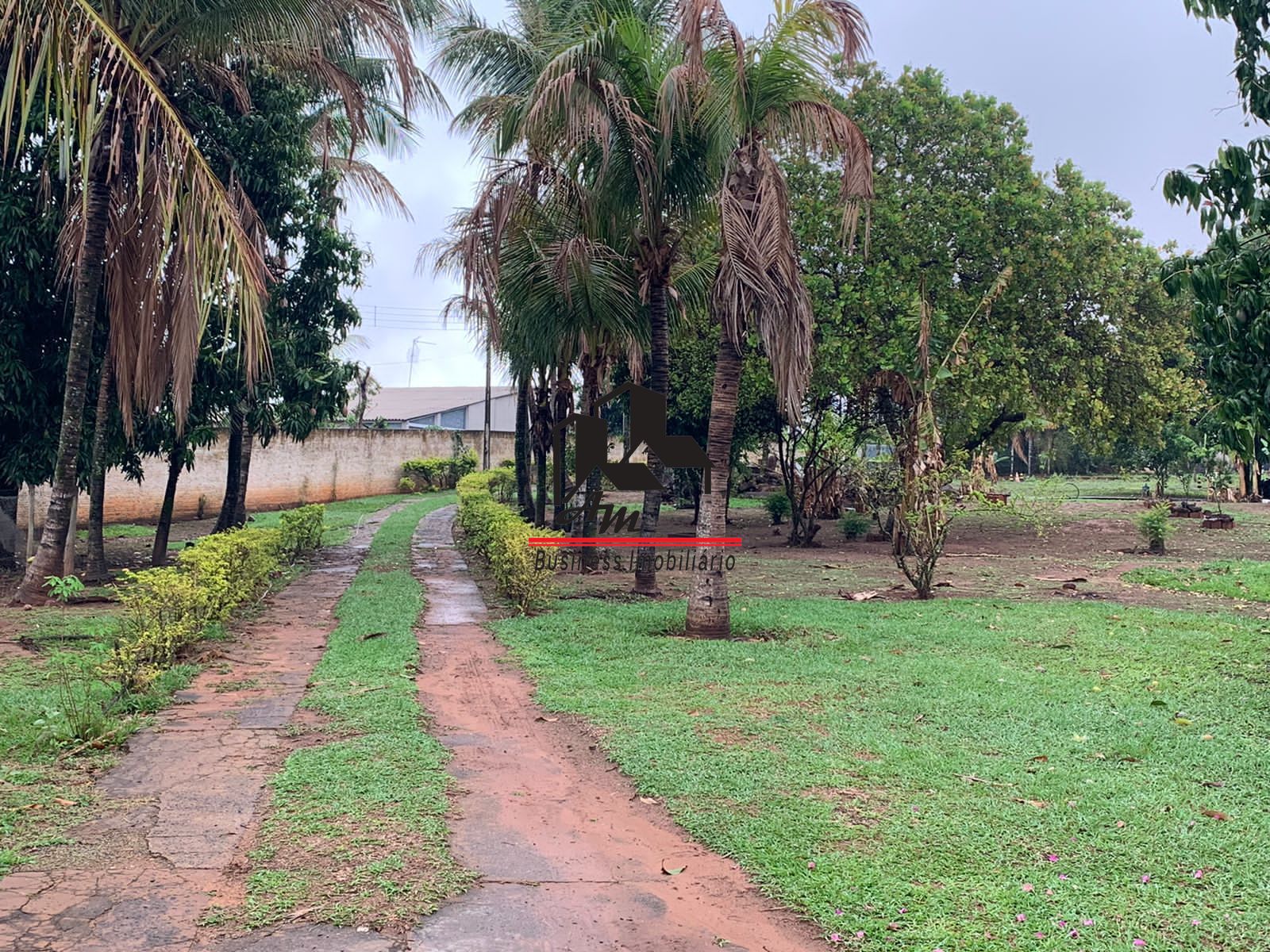 Fazenda / Sítio / Chácara com 5 quartos à venda, 200m² — foto 9 de 42