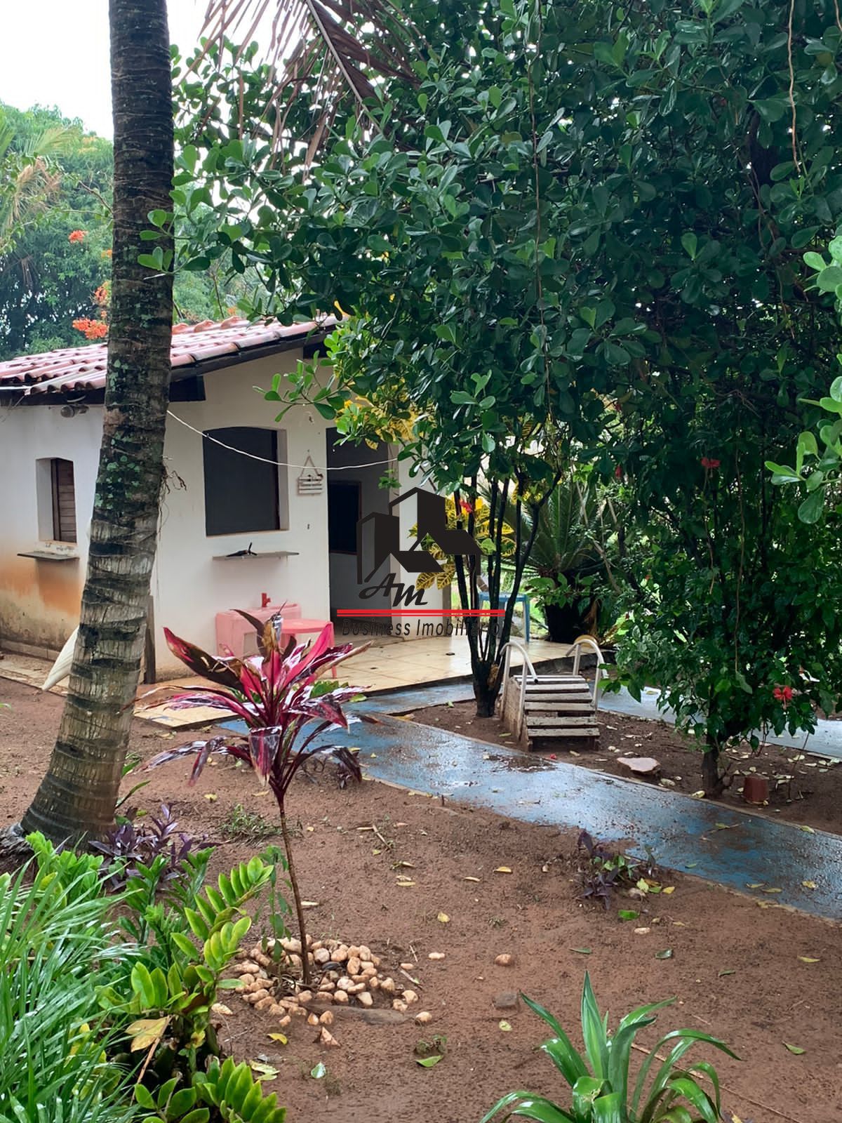 Fazenda / Sítio / Chácara com 5 quartos à venda, 200m² — foto 5 de 42