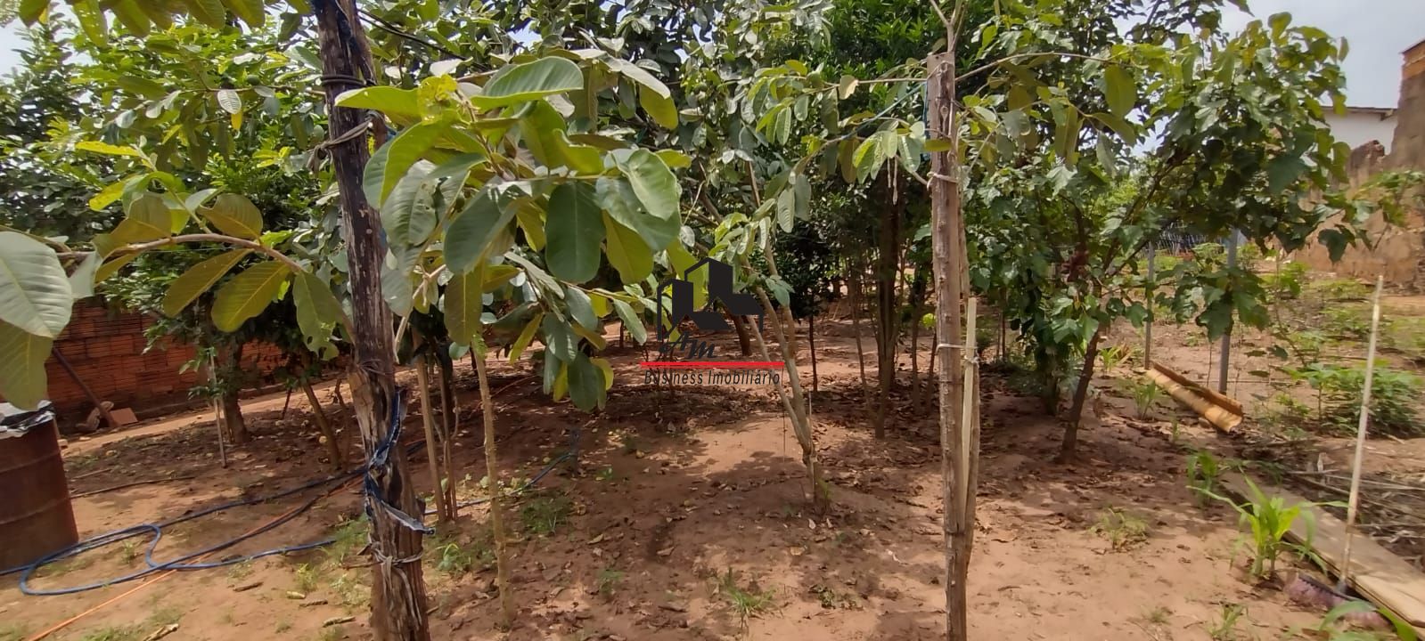 Fazenda / Sítio / Chácara com 2 quartos à venda, 130m² — foto 22 de 26