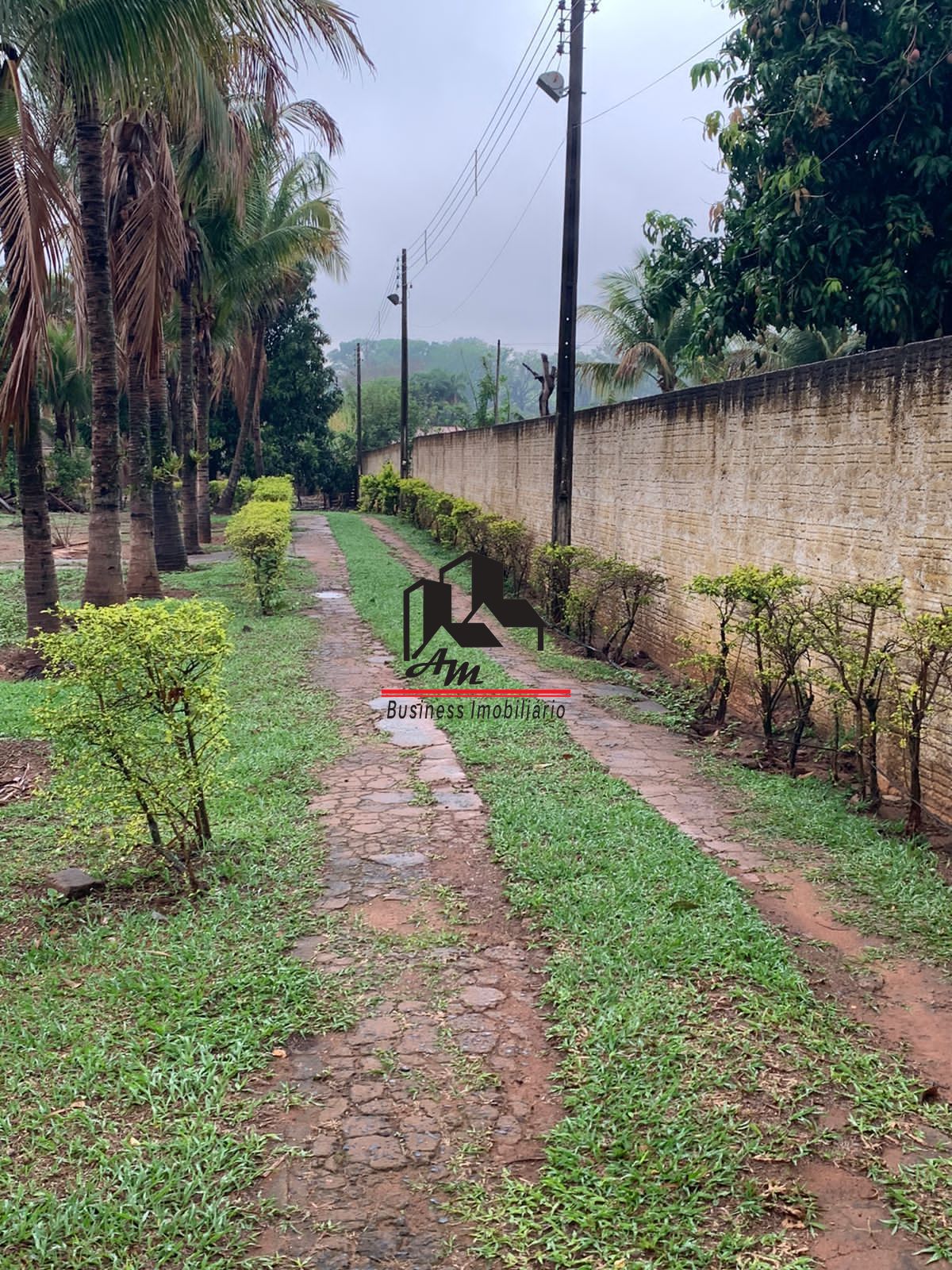 Fazenda / Sítio / Chácara com 5 quartos à venda, 200m² — foto 8 de 42