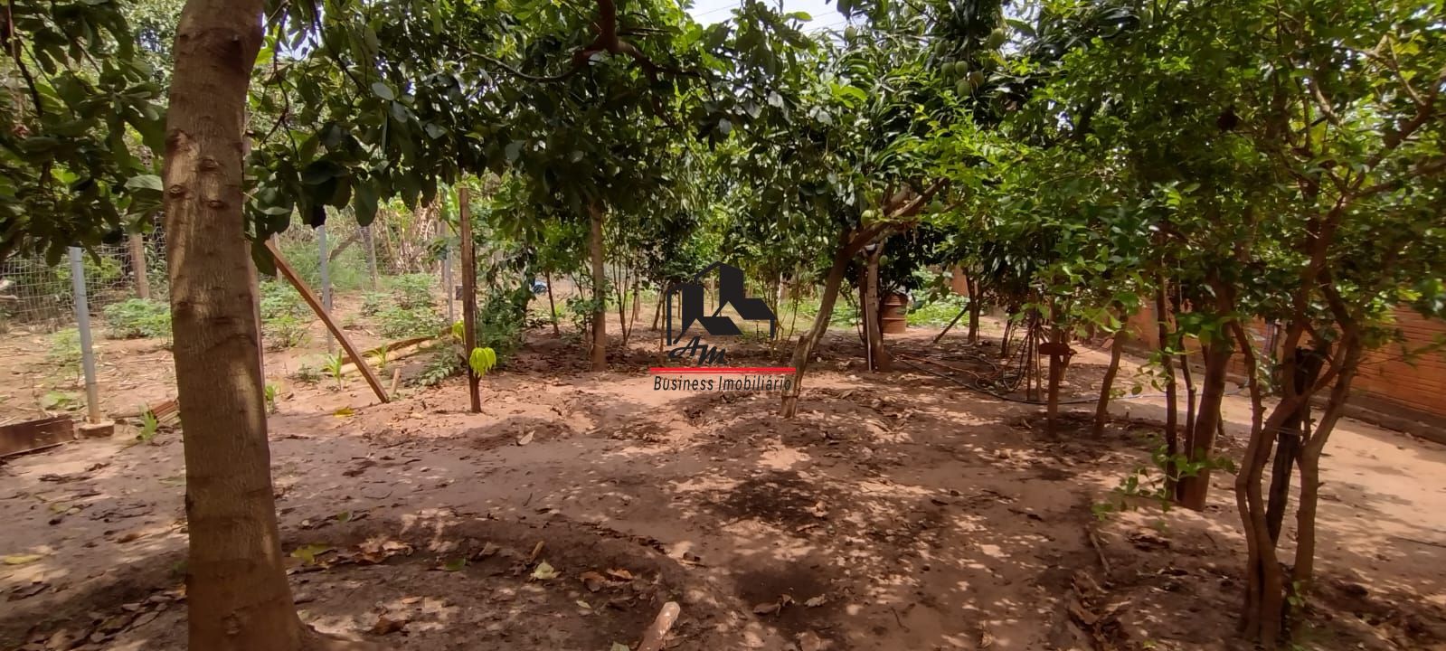 Fazenda / Sítio / Chácara com 2 quartos à venda, 130m² — foto 21 de 26
