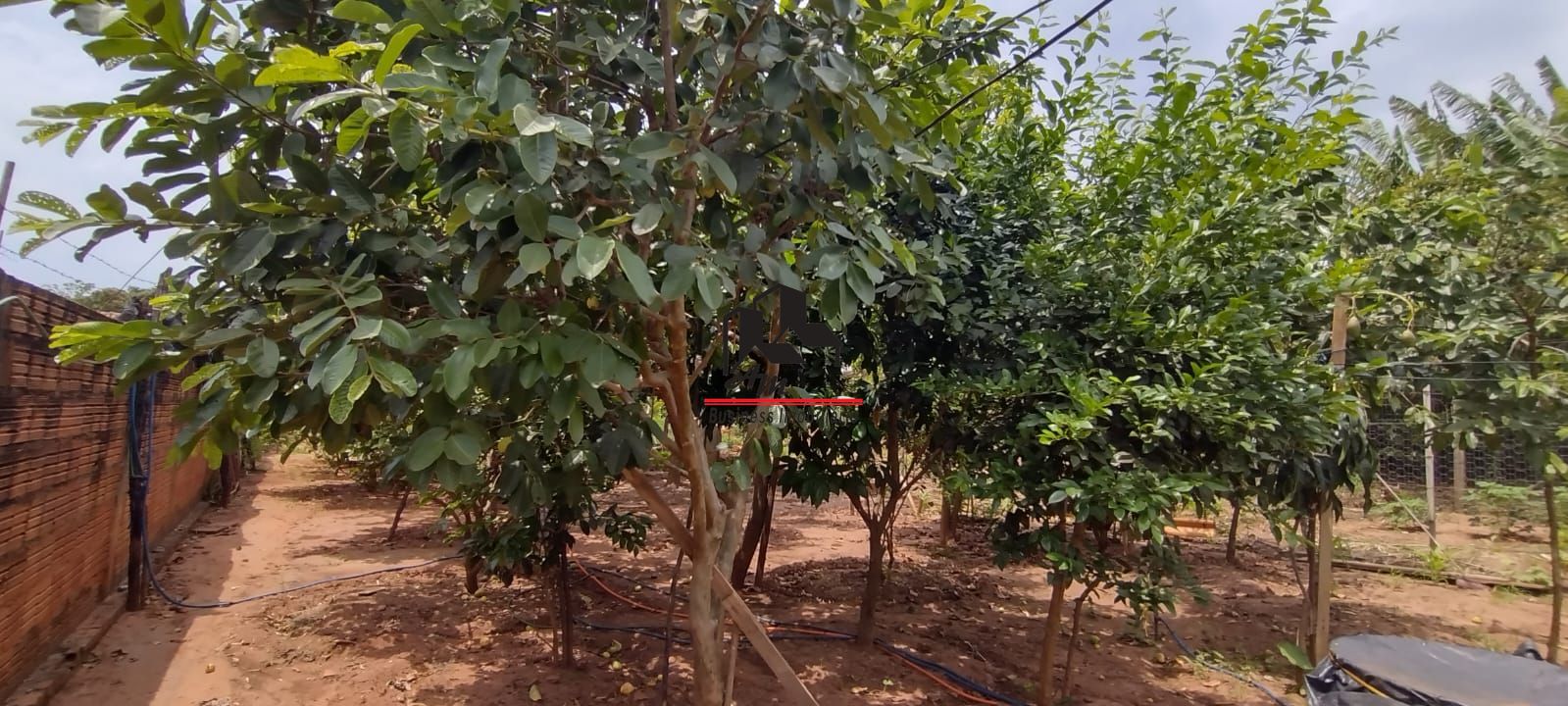 Fazenda / Sítio / Chácara com 2 quartos à venda, 130m² — foto 25 de 26