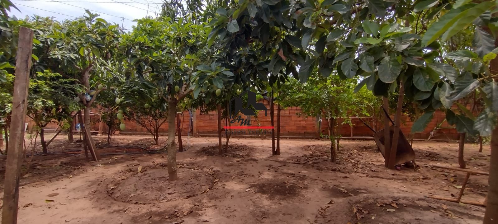 Fazenda / Sítio / Chácara com 2 quartos à venda, 130m² — foto 26 de 26