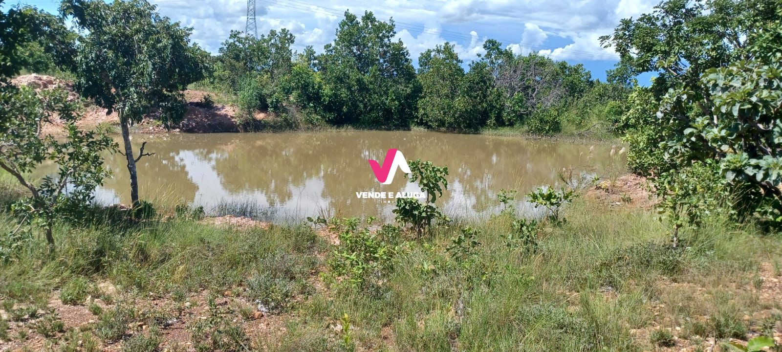 Fazenda à venda com 2 quartos, 68700m² - Foto 4