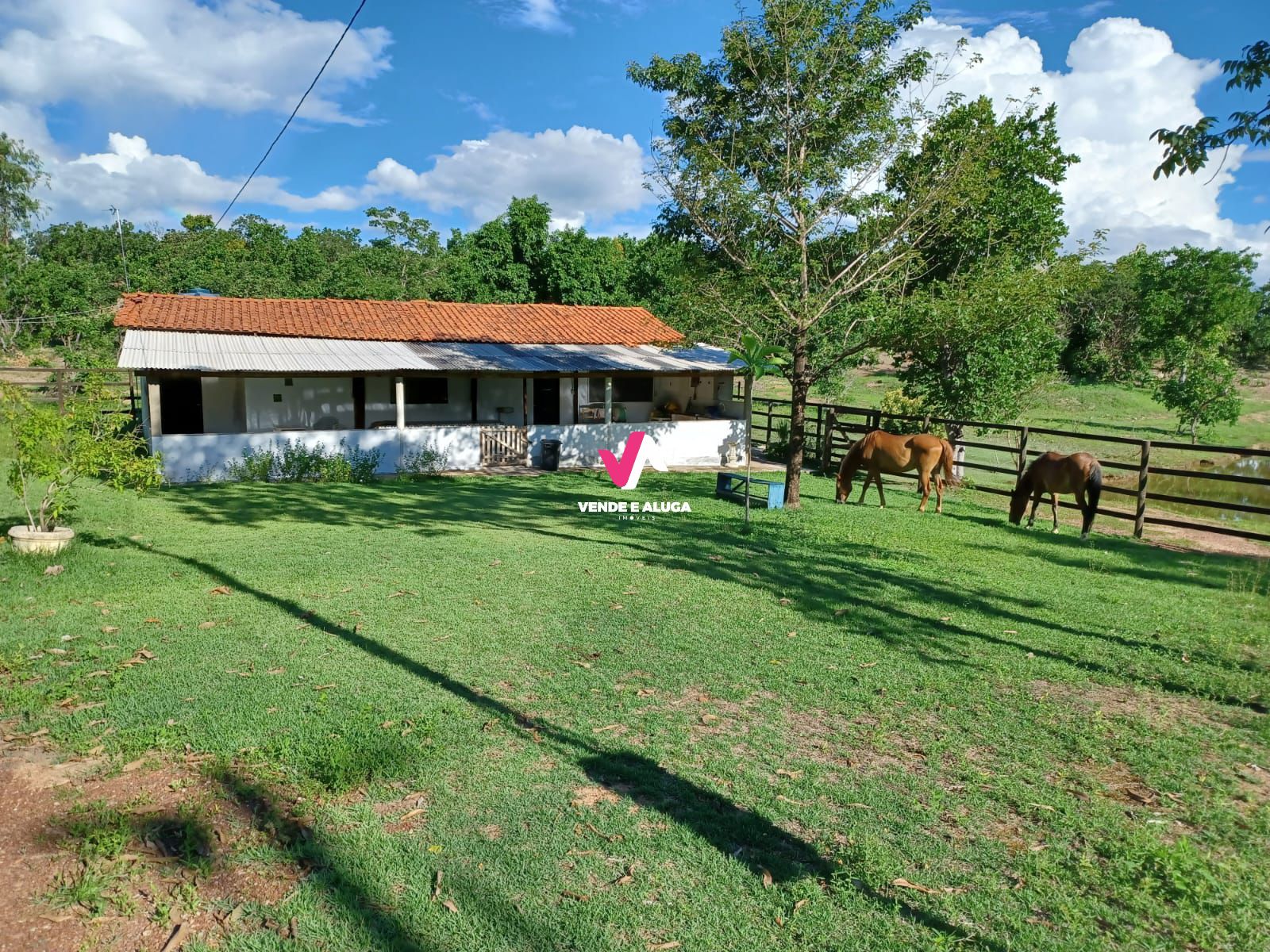 Fazenda à venda com 2 quartos, 68700m² - Foto 3