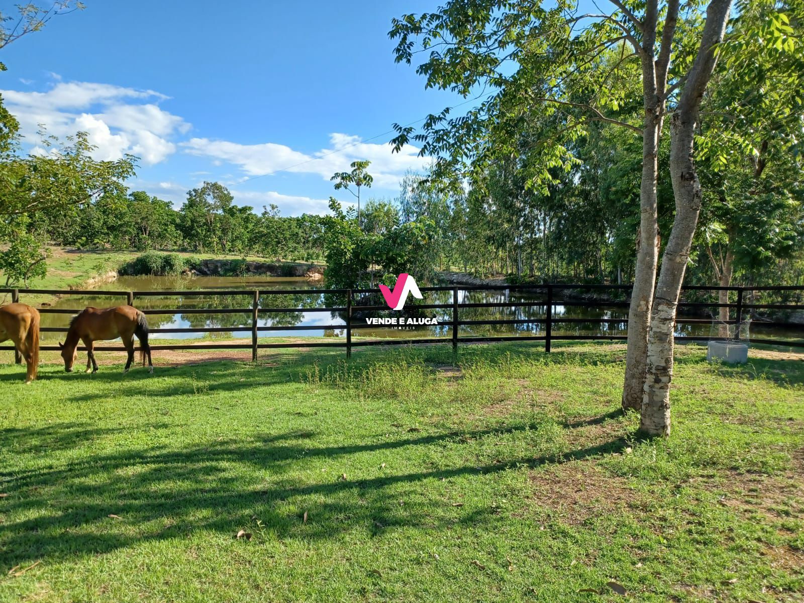 Fazenda à venda com 2 quartos, 68700m² - Foto 2