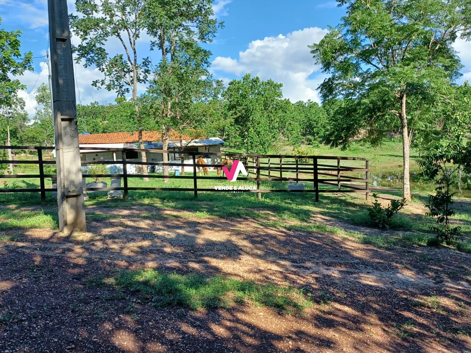 Fazenda à venda com 2 quartos, 68700m² - Foto 8