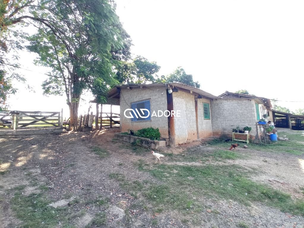 Fazenda à venda com 3 quartos, 400m² - Foto 6