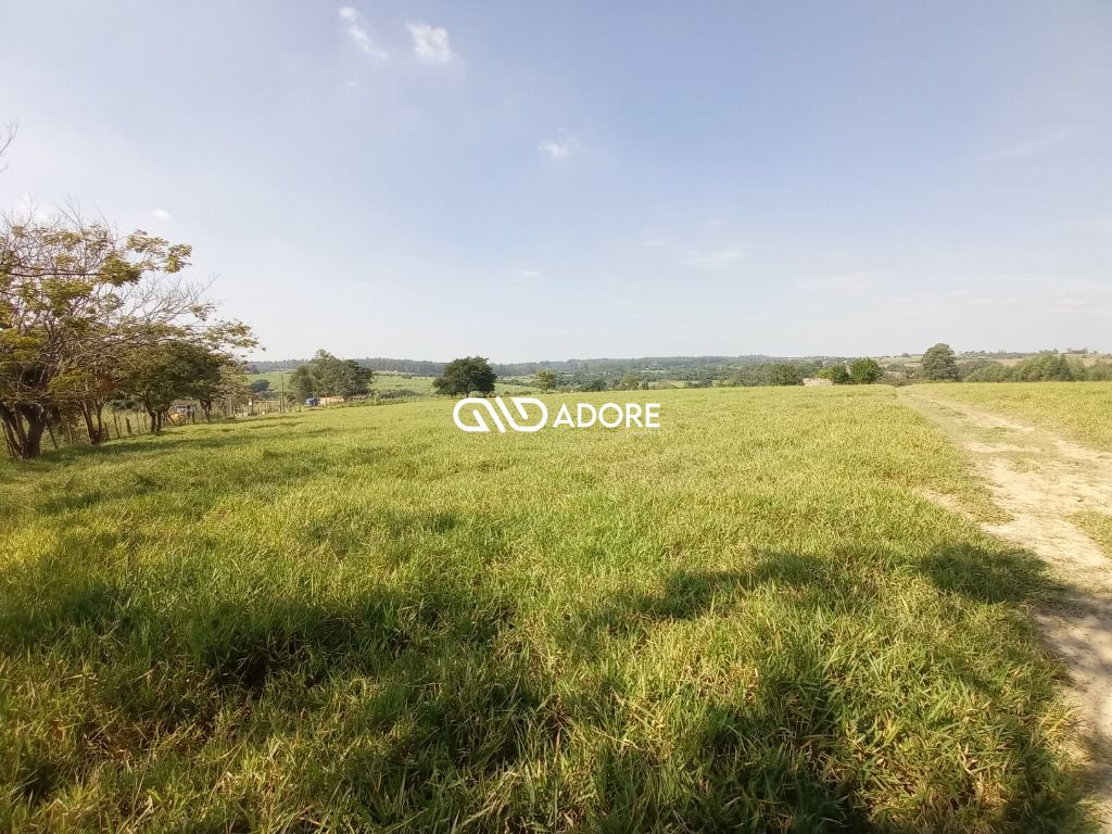 Fazenda à venda com 3 quartos, 400m² - Foto 13