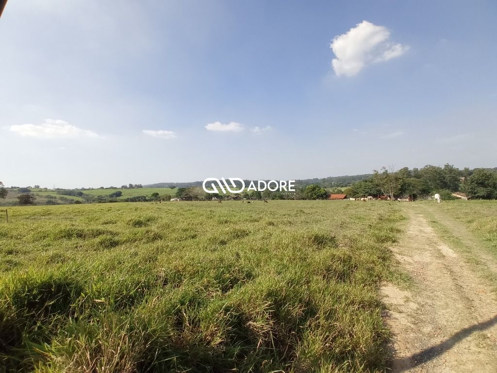 Fazenda à venda com 3 quartos, 400m² - Foto 12