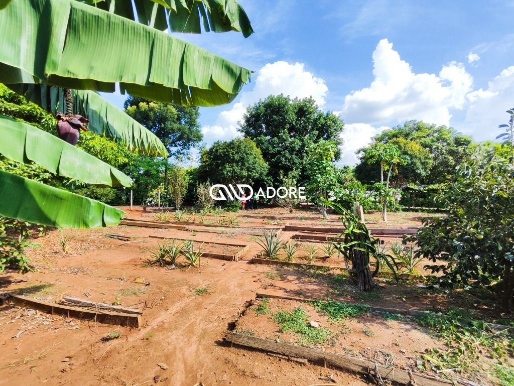 Terreno à venda, 1000m² - Foto 3