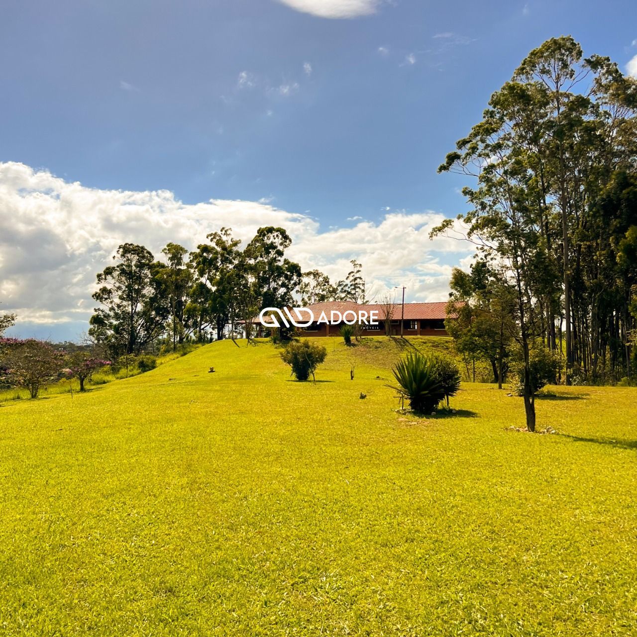 Fazenda à venda com 5 quartos, 5500m² - Foto 8