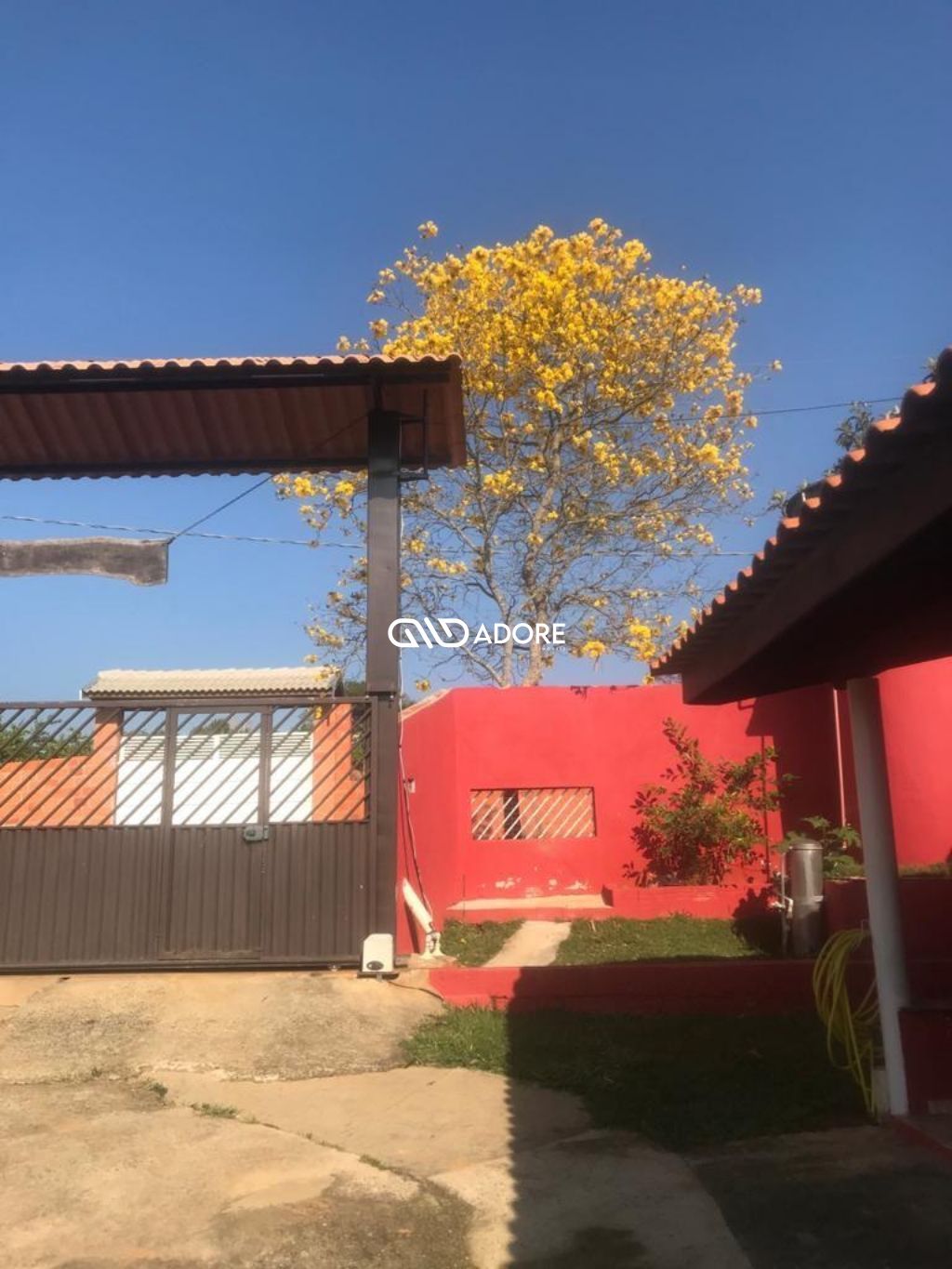 Fazenda à venda com 3 quartos, 2238m² - Foto 2