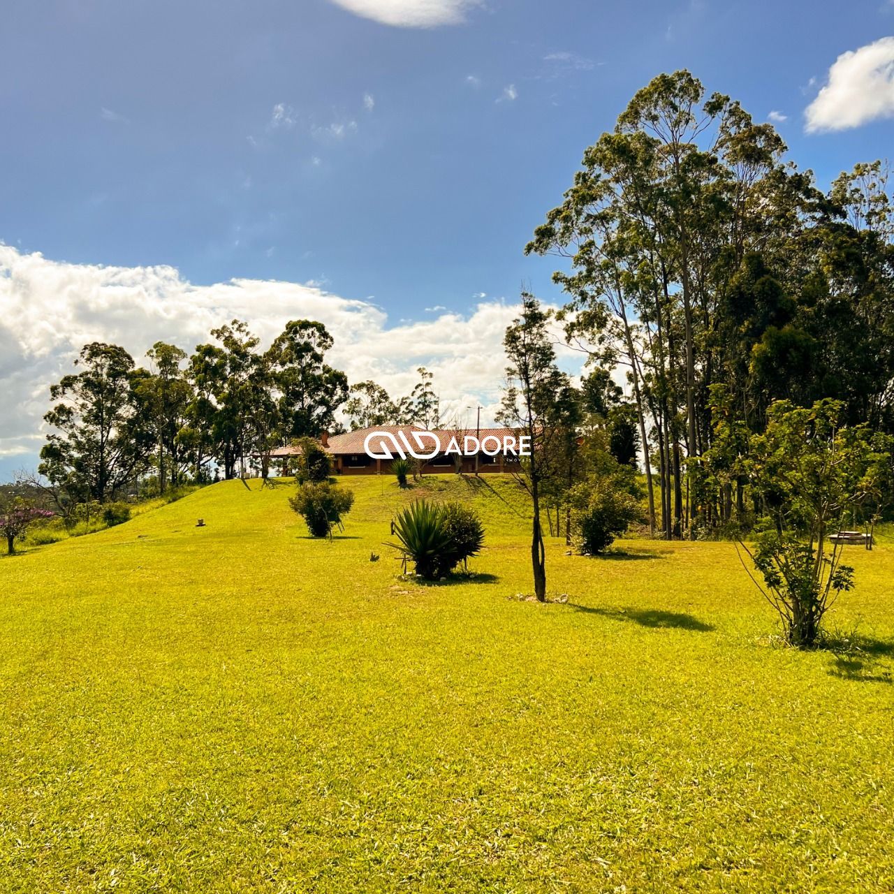 Fazenda à venda com 5 quartos, 5500m² - Foto 7