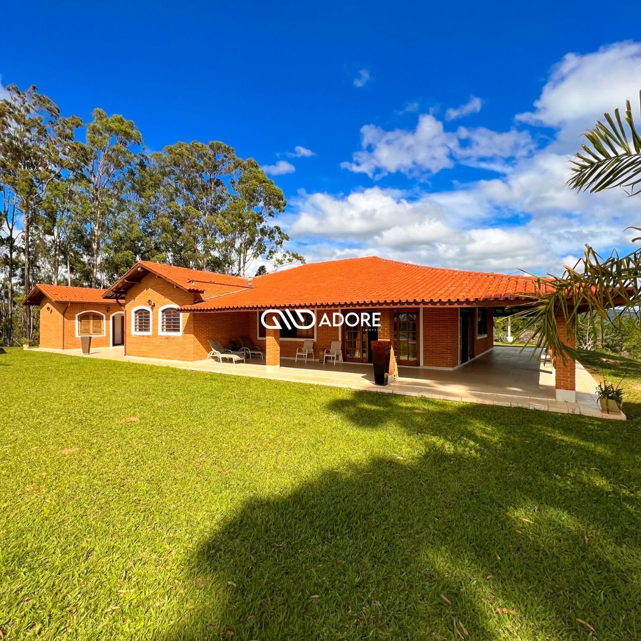 Fazenda à venda com 5 quartos, 5500m² - Foto 34