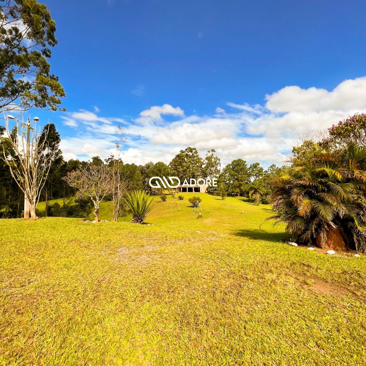 Fazenda à venda com 5 quartos, 5500m² - Foto 36