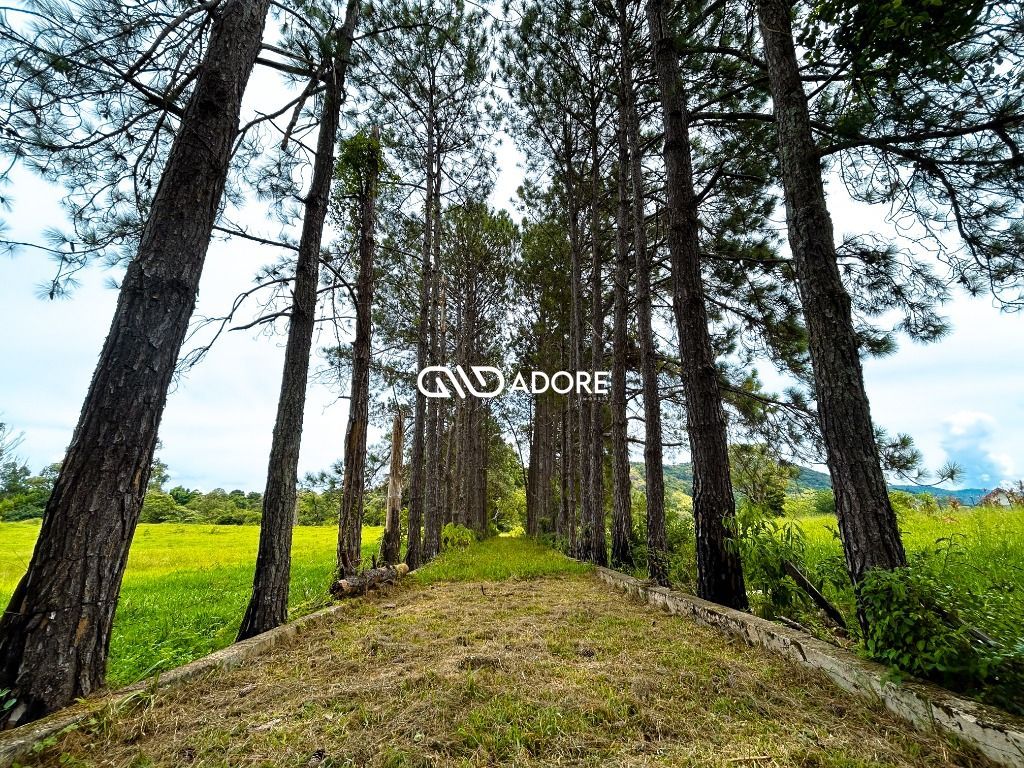 Sítio à venda com 12 quartos, 1000m² - Foto 76