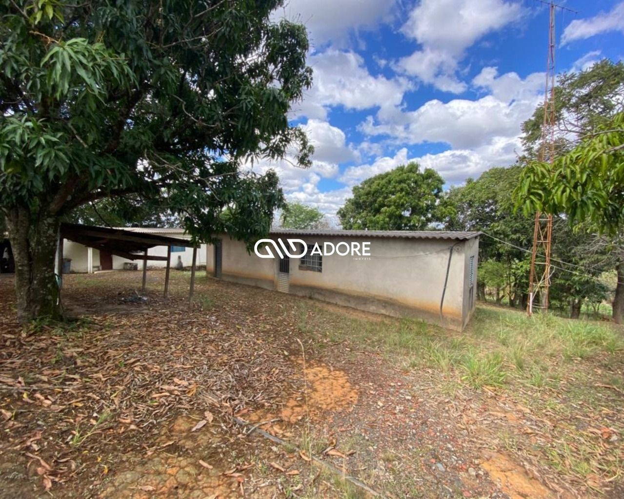 Fazenda à venda com 1 quarto, 6000m² - Foto 8