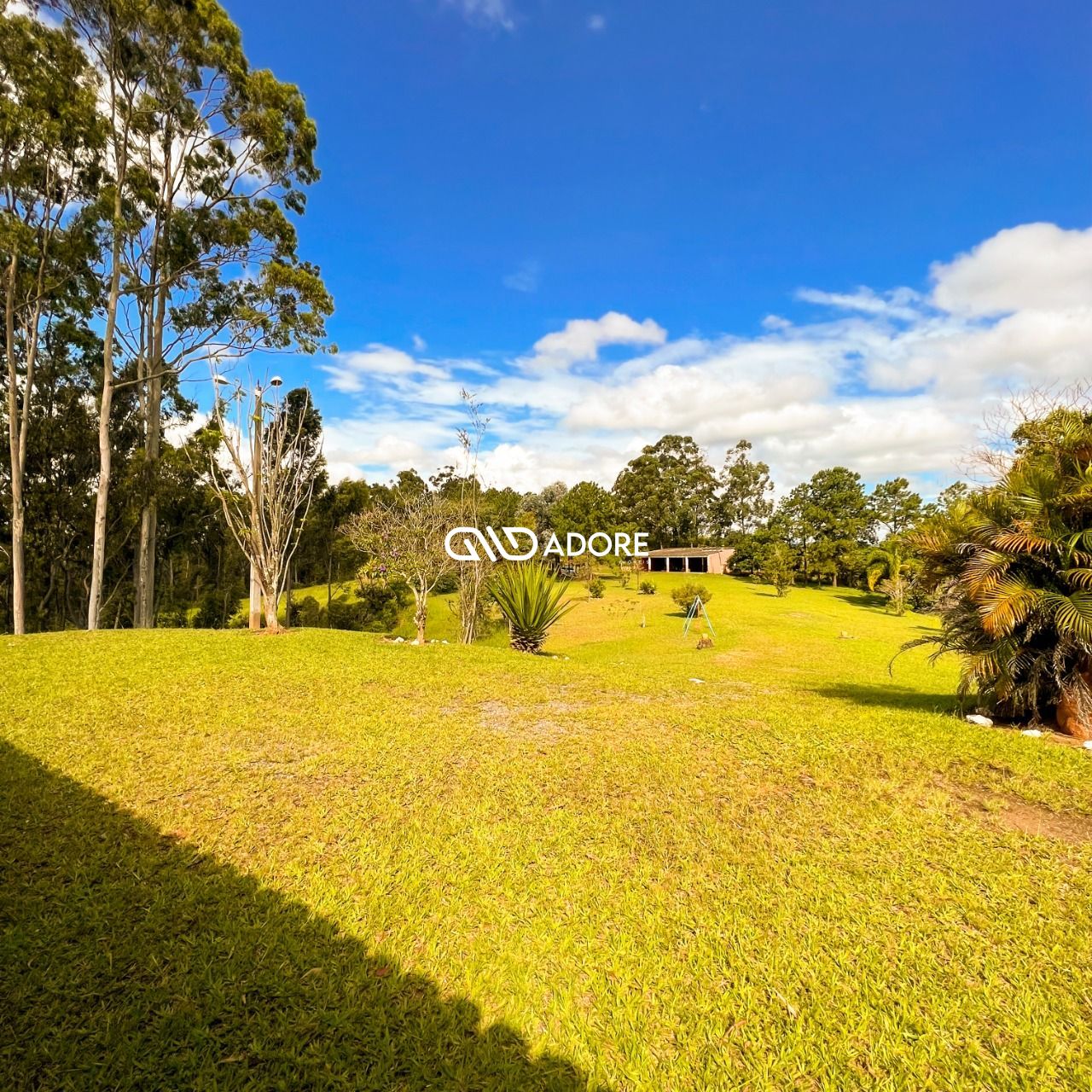 Fazenda à venda com 5 quartos, 5500m² - Foto 37