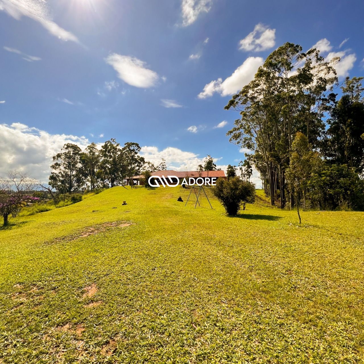 Fazenda à venda com 5 quartos, 5500m² - Foto 11