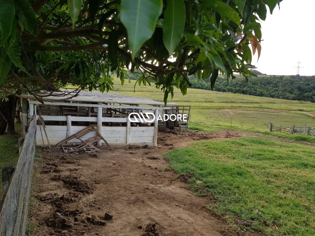 Fazenda à venda com 4 quartos, 24000m² - Foto 5